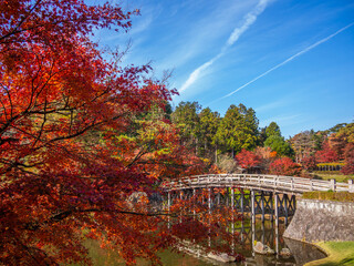 秋の日本庭園の木橋と紅葉