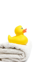 Yellow rubber duckling on white terry towel.