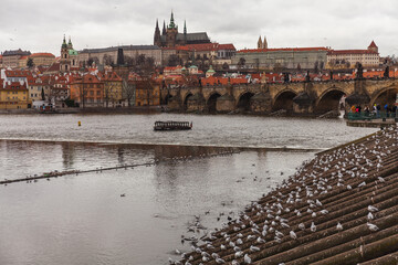 charles bridge city