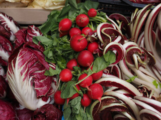 Autumn vegetables, red chicory and radishes.