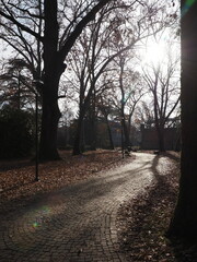 Fototapeta premium Ferrara, Italy. Massari public park, Renaissance area.