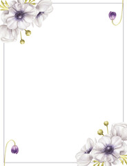 Obraz premium Frame with watercolor white anemones isolated on a white background.