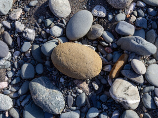 The sources of the mountain river, the journey along the riverbed, the shallow bottom and the stones warm up in the sunlight. +