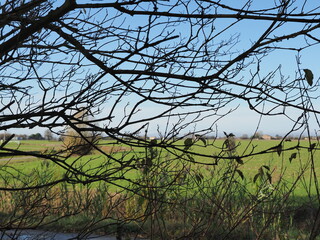 Northern Italy, Ferrara province, countryside landscape in autumn.