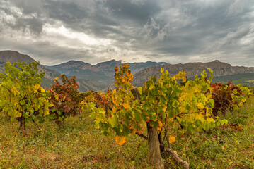 Paisatge i colors de tardor al poble d'Oliana, a la comarca de l'Alt Urgell.