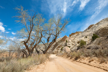 Scenery on Cottonwood Canyon Road, Grand Staircase-Escalante National Monument, Utah	
