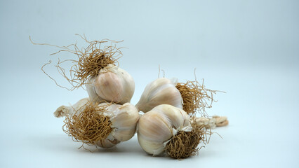garlic on a white background