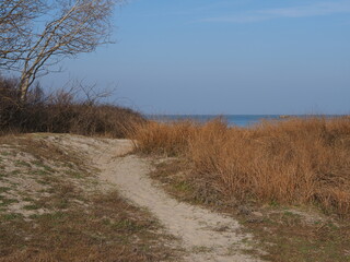 Fototapeta premium Ferrara, Italy. Massari public park, Renaissance area.