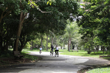 Fototapeta na wymiar couple riding bikes in park