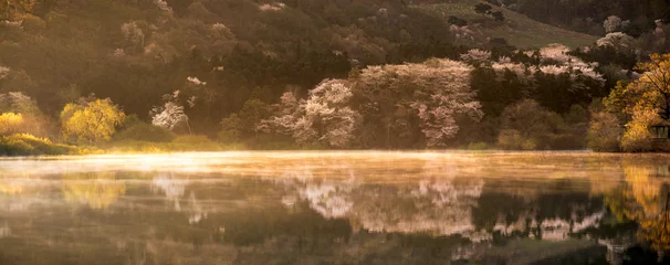 Fotobehang 황금빛 호수 © 새벽