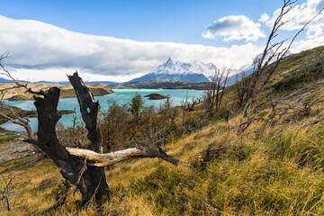 Lago del Pehoe in Torres del Paine national park, Patagonia, Chile.