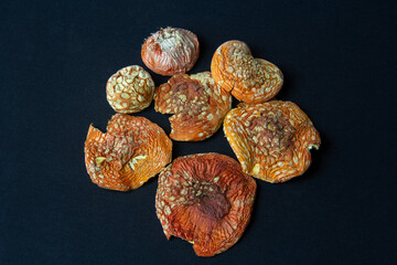 Dried caps of red fly agaric. Treatment with fly agarics