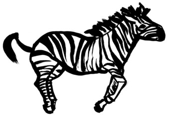 Fototapeta na wymiar drawing of a running zebra drawn in black gouache isolated on a white background for posters and interior decoration, as well as prints for clothes and stationery
