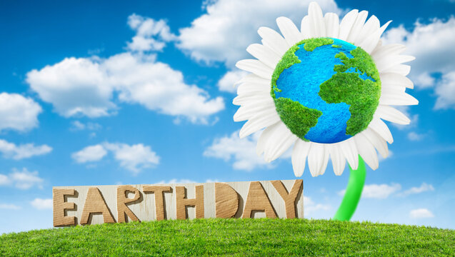 green grass meadow and flower, Earth day concept