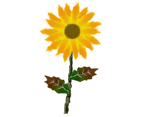 Sunflower oil paint