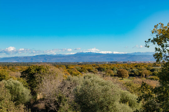 Piana vicino a Paulilatino, provincia di Oristano, Sardegna