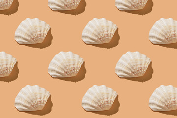 Flat semicircular sea shell on a beige background