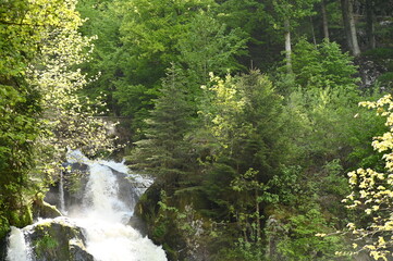 Obraz premium Wasserfall