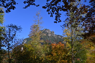 Herbst