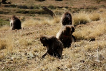 Nature is the world around us, not created by man. That which is primary, which appeared long before man. The natural habitat of man. Forests, mountains, seas, oceans, flora, fauna, and man himself.