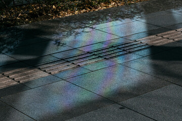 虹色に反射する道路 - obrazy, fototapety, plakaty