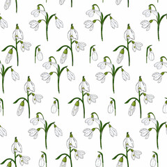 Fototapeta na wymiar floral seamless pattern. Background with white spring flowers snowdrops