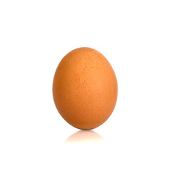 Single brown egg isolated on white background