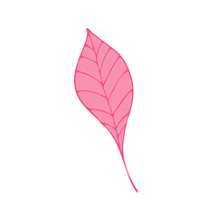 Leaves in the style of doodles. Vector design elements of a black line drawn by hand. Leaves of various plants, flowers and trees. Vector illustration.