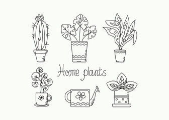 Home plant in a pot Doodle style. Indoor flowers. Pot plant. Vector illustration with hand drawn lettering.
