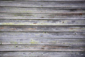 Obraz premium Background from old wooden boards (wooden beam). Vintage texture, background. Natural color