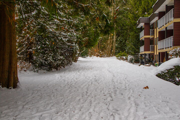 passeando pela cidade após uma nevasca, Vancouver Canadá.  pisando na neve 