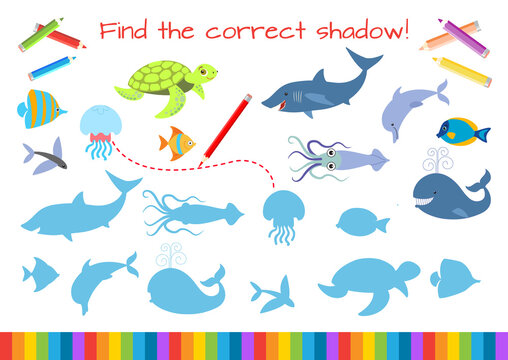 Educational mini-game for children. Find the correct shadow. Cartoon vector illustration