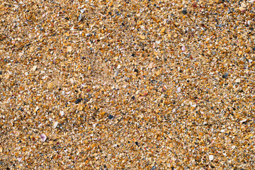 Shell beach, broken shells and pebbles on a sandy beach. Top view, summer nautical background or advertising banner