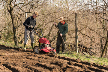 Two elderly men tilling ground soil with a rototiller in the garden. Spring garden preparation for seeding.