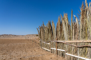 Fototapeta premium The fence from reeds
