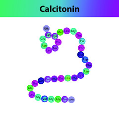 Calcitonin  hormone peptide primary structure. Biomolecule schematic amino acid sequence on white background.