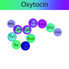 Oxytocin  hormone peptide primary structure. Biomolecule schematic amino acid sequence on white background.