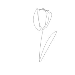 flower continuous one line icon. Isolated single flower silhouette. Modern minimal style linear logo. Floral element, symbol for poster, social media stories, card, cover. Vector scribble