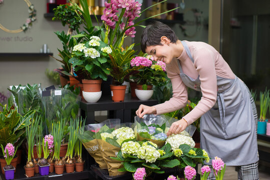 Young Woman Professional Florist Working With Flowers In Her Flower Shop