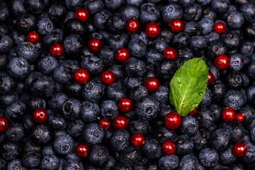 berries background. Ripe blueberry and red currant top view flat lay image.