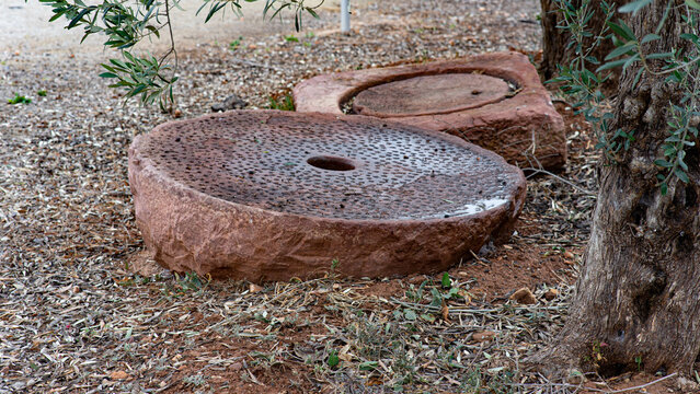 Piedras de moler aceitunas