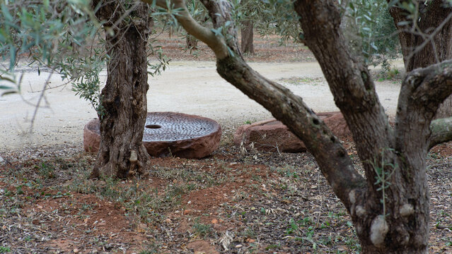 Piedras de moler aceitunas