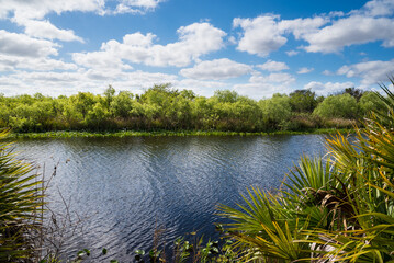 Fototapeta na wymiar Florida everglades river swamp sky blue clouds
