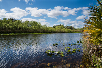 florida everglades waterway river
