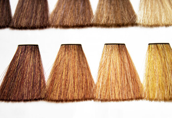 Hair Palette of different colors. Sample of colorful hair on white background