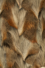 Textur Fell und Pelz.