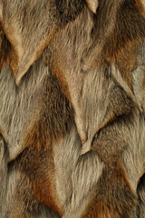 Textur Fell und Pelz.
