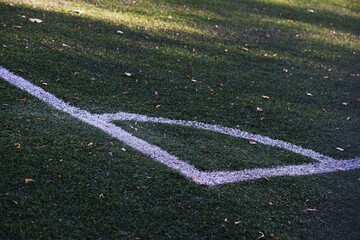 Detail of football field lawn. Sunny weather, shadows. White Sidebar.
