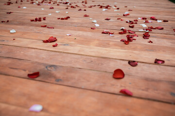 Rose petals on a wooden floor. Wedding day