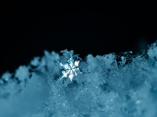 close up of Snowflake, macro